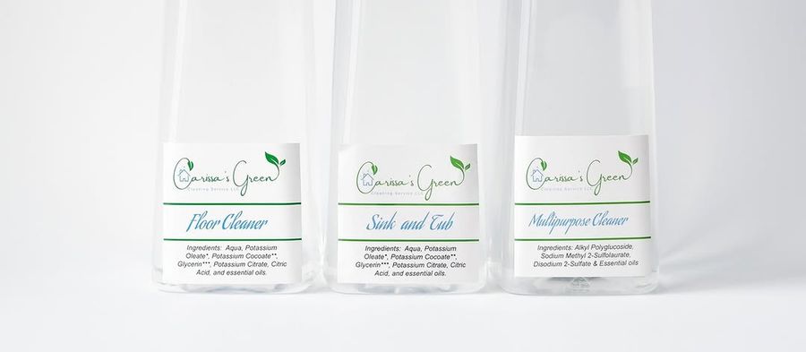 Three clear bottles with labels reading Floor Cleaner, Sink and Tub, and Multipurpose Cleaner.